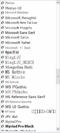 Screen capture of M.S. Word's font list.