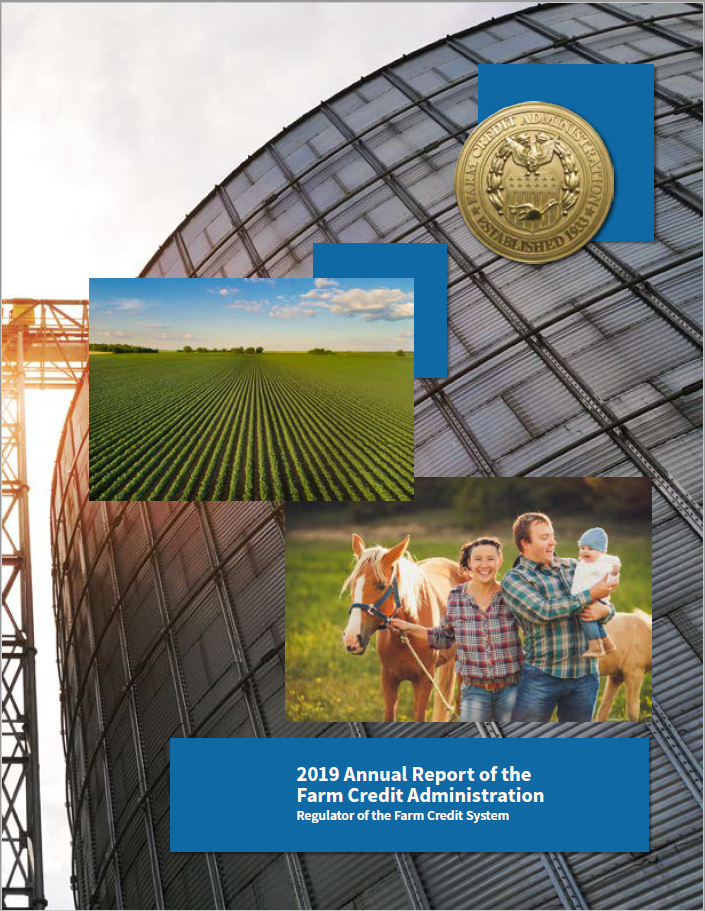 Cover of the FCA 2019 annual report to Congress.